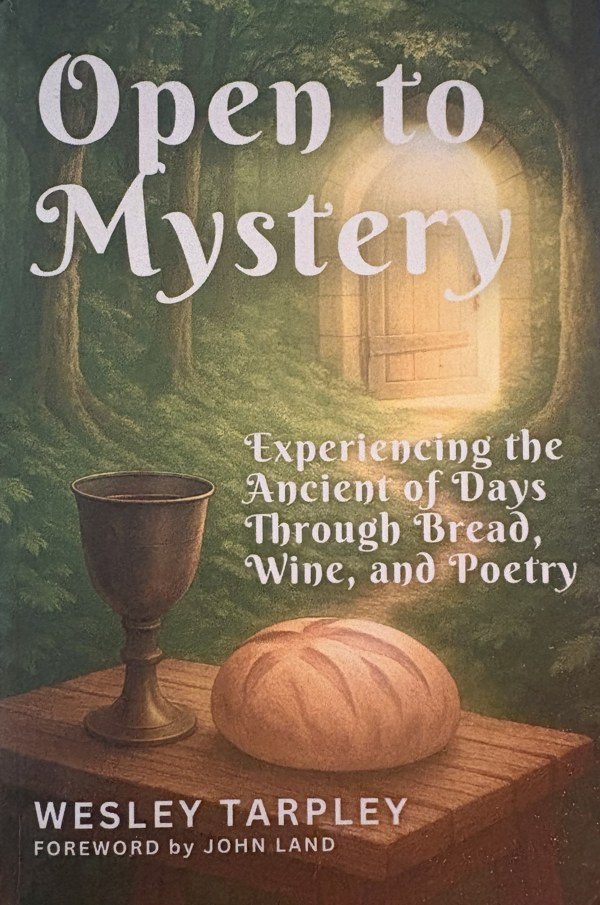 Cover of Open to Mystery by Wesley Tarpley